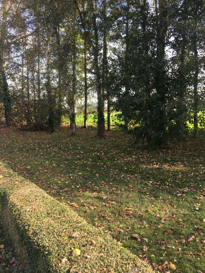 Au Coeur De La Flandre Διαμέρισμα Noordpeene Εξωτερικό φωτογραφία