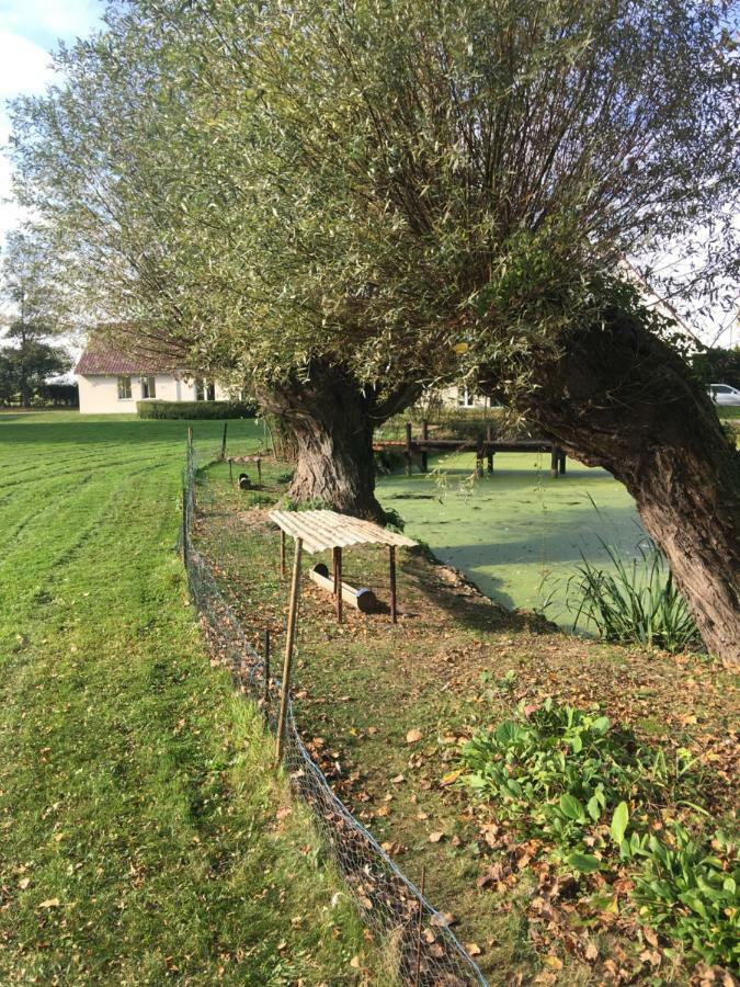 Au Coeur De La Flandre Διαμέρισμα Noordpeene Εξωτερικό φωτογραφία