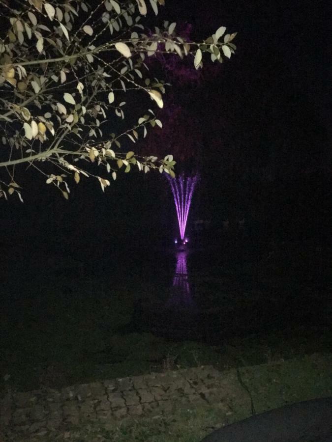 Au Coeur De La Flandre Διαμέρισμα Noordpeene Εξωτερικό φωτογραφία